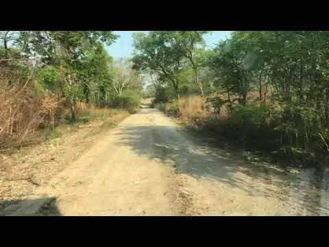 Ruta que une Vallemi (San Lázaro), con San Carlos del Apa (Departamento de Concepcion)