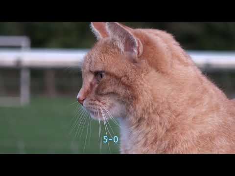 20181008  VAKO E1   Zuidlaren E3