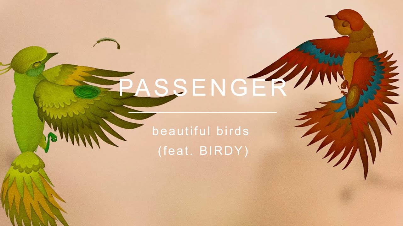 Passenger ft. Birdy — Beautiful Birds