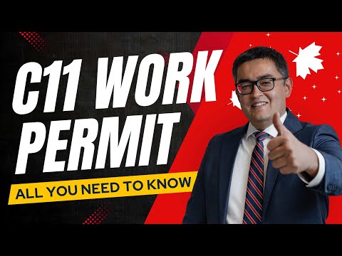 C11 Work Permit Basics: Watch This Before Diving Into 2025 Changes