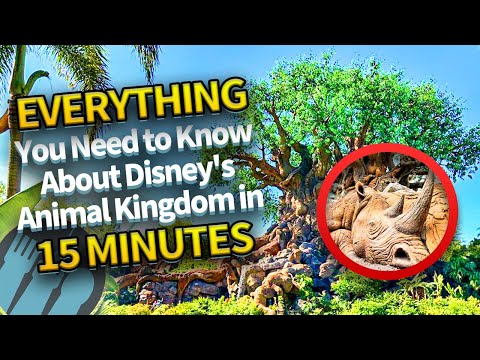 Everything You Need to Know About Disney's Animal Kingdom in 15 Minutes