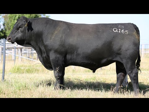 GRANITE RIDGE QUEBEC Q165