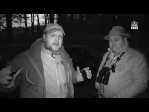 Darz Bór odc 133 - Dolnośląskie Mistrzostwa w wabieniu drapieżników cz 1