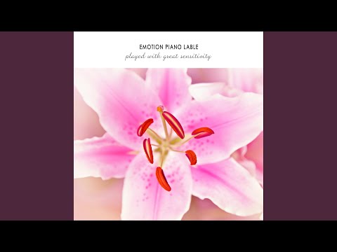 Holding hands together