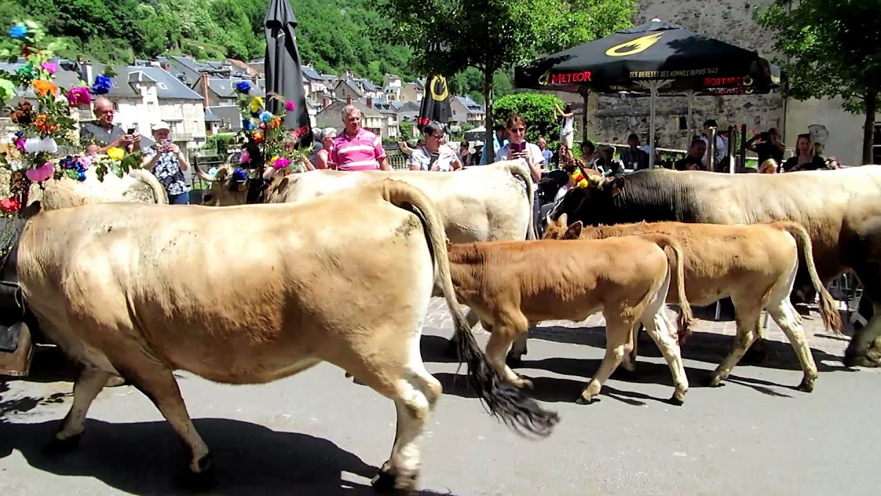 Estive St. Geniez d'Olt 2018