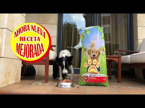 Spot Paws Food (Comida para perros)