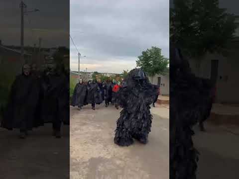 Tradição dos Caretas, Formosa do Rio Preto -Ba #carnaval #fofão