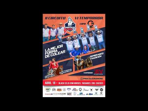 II CIRCUITO VI TEMPORADA / PROCOLEO RANKING LINK 2