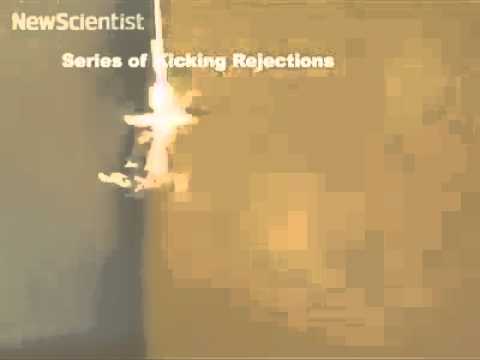 New Scientist TV  Wildlife archive