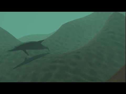 3D Animation Dolphin