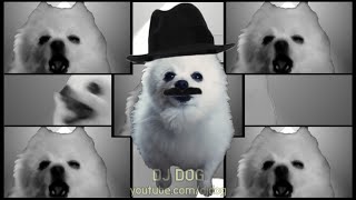 Download lagu Scatdog (ski-ba-bop-ba-dop-bop) Gabe the Dog Remix mp3