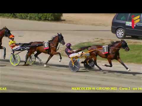 II Corsa del 1 Giugno 2022 - Cat. E - Metri 1600
