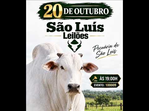 São Luís de Montes Belos - GO   20/10/2026