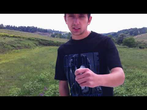 S T M  Mafia  Generatia de aur