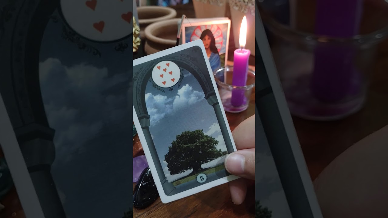 SIGNIFICADO DO BARALHO DE SANTA SARA KALI (parte.2)