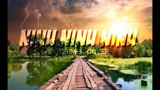 Download lagu [NINU NINU NINU] INSTRUMEN COVER mp3