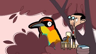 Bean Spots A Rare Bird... | Mr Bean Animated Season 2 | Full Episodes | Mr Bean World