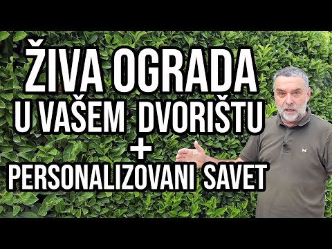 Živa ograda u vašem dvorištu + personalizovan savet