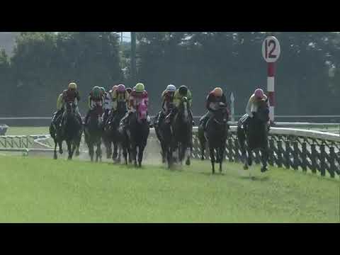 2022.05.22 Yushun Himba (Japanese Oaks) - Stars on Earth