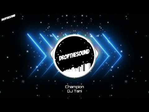 DJ Tani - Champion