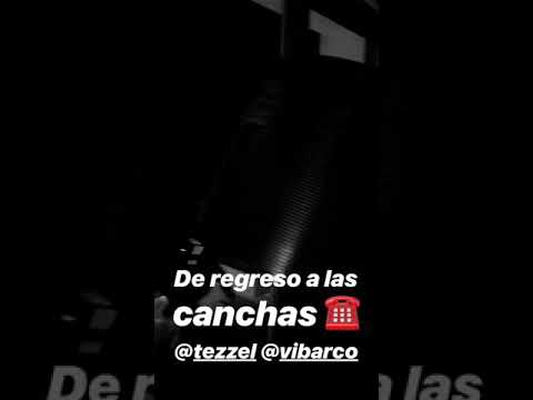 De Regreso A Las Canchas  Maluma | Tezzel | Vibarco |  Maluma New Song | Preview |