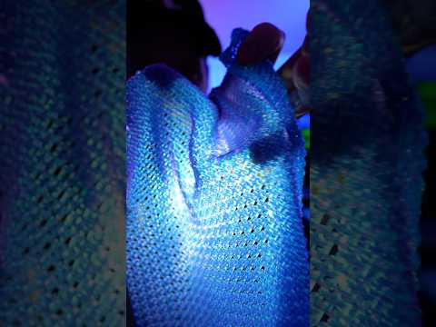 The Coolest 3D Printed Fabric Yet 😎🙂‍↔️ Model PipeLink Chainmail Fabric By ZeroAlligator