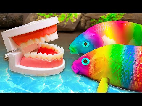 Stop Motion Cooking In Village ASMR Experiment | Koi Fish Grow Christmas Tree And Hunt Rainbow Eels