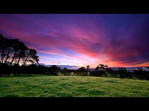 Alex D' Elia vs Ebop Allstars - Isn't life wonderful