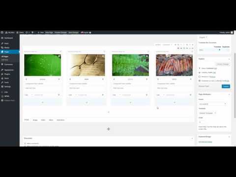 Hybrid Composer - Wordpress - Duplicate and move