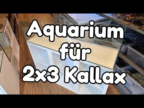 Aquarium für IKEA 2x3 Kallax - Auf diese Statik-Details muss man achten!