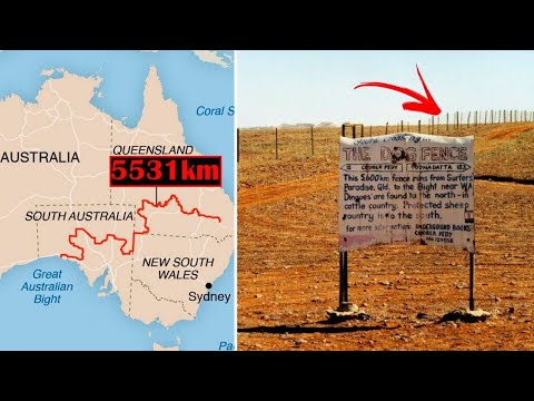 Warum Australier den längsten Zaun der Welt gebaut haben!