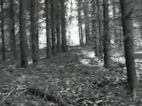 Root - Sonata Of The Chosen Ones