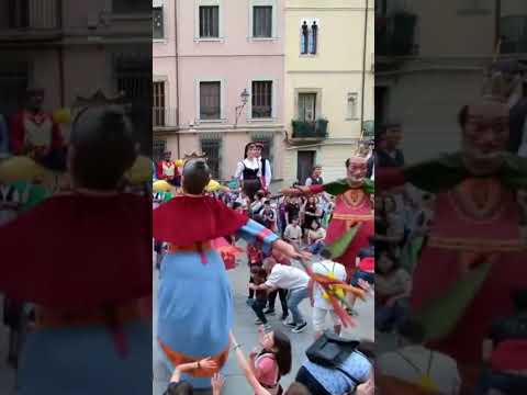 gegants bojos de Solsona