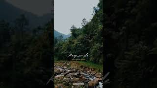 Download lagu Sudahi Perih Ini - story WA | Tami Aulia mp3 Download lagu Sudahi Perih Ini - story WA | Tami Aulia mp3