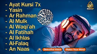 Download lagu Quran recitation in a peaceful voice I Alfatiha, ayat alkursi, yasin, alwaqiah, arrahman, Alaa aqel mp3