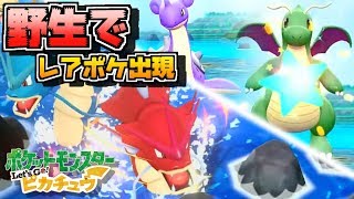 ギャラドス ポケットモンスター スナバァ バニプッチ ユキカブリ ギャラドス ポケットモンスター スナバァ バニプッチ ユキカブリ