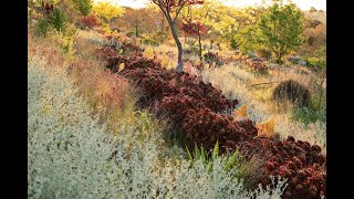 Kurt Wilkinson, Horticulturalist & Garden Designer, South Australia - 12 February 2025
