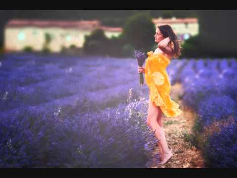 Ehren Stowers feat. Emi Jarvi - Predator (DJ Feel Remix)