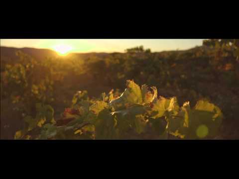 Garnacha's PDOs (Protected Designations of Origin)