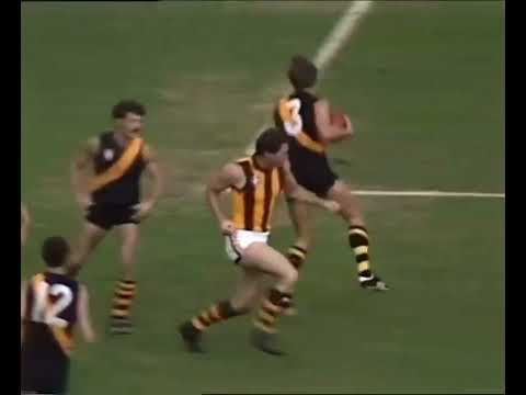 Don Scott takes out Kevin Sheedy - RD 2 1977
