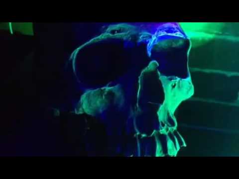 HORA DEL TERROR/Cortinilla/Narrativas