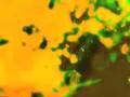 Four Tet-Hands 