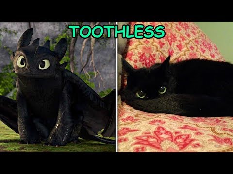 download lagu mp3 mp4 How To Train Dragon Character, download mp3 How To Train Dragon Character free download, download mp3 How To Train Dragon Character