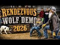 Wolf trapping demo. The good and bad of my wolf season 