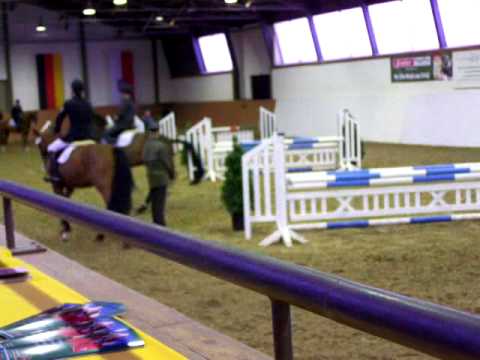 Hengste Moritzburg 2010