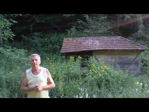 BERNARD LJUBAS O VILAMA