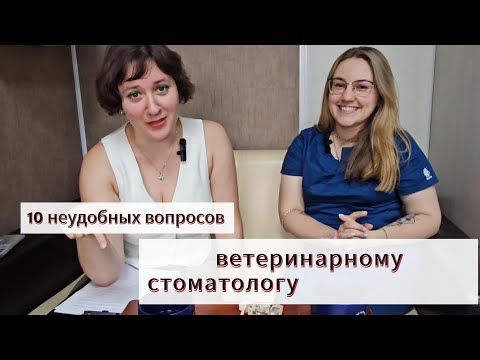 10 неудобных вопросов ветеринарному стоматологу