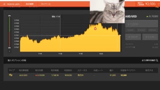【FX】1万円から始める為替取引【BO】