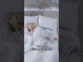 How To Sleep Without Habits By SEVENTEEN Members GOING SVT