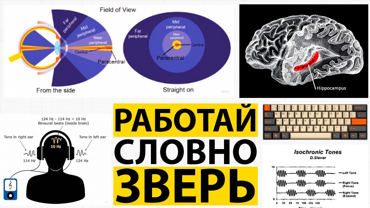 ��������� ����� �� ����� - ��� ������ ����